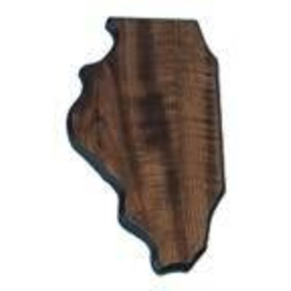 4" x 8 1/2" Finish Edge Illinois State Plaque Thumbnail