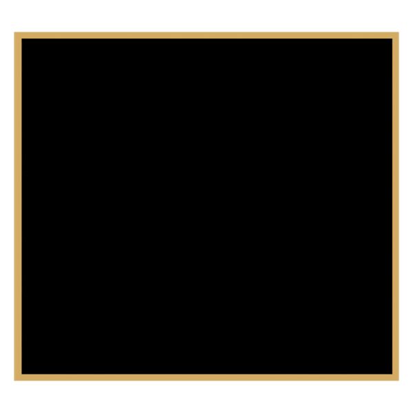 2 1/2" x 2 3/4" Laserable Brass Plaque Plate with Border Thumbnail