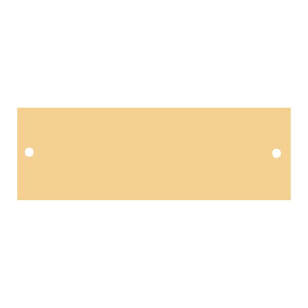 7/8" x 2 3/4" Brushed Brass Plate with Two Holes Thumbnail
