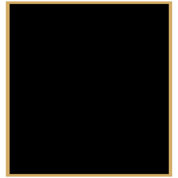 2 7/8" x 3" Laserable Brass Plaque Plate with Border Thumbnail