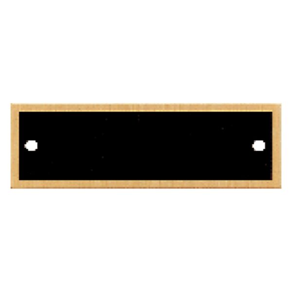 1" x 3 1/4" Plate with Border and Two Holes Thumbnail