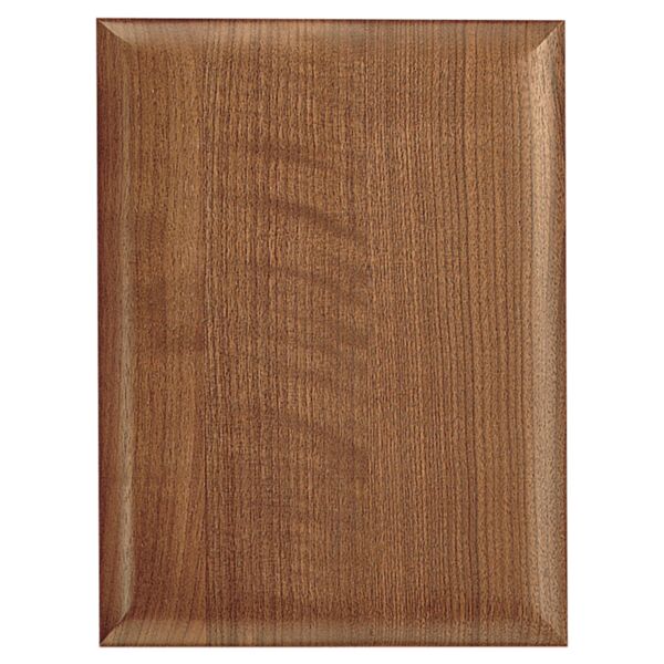 8" X 10 1/2" Airflyte Plaque Thumbnail