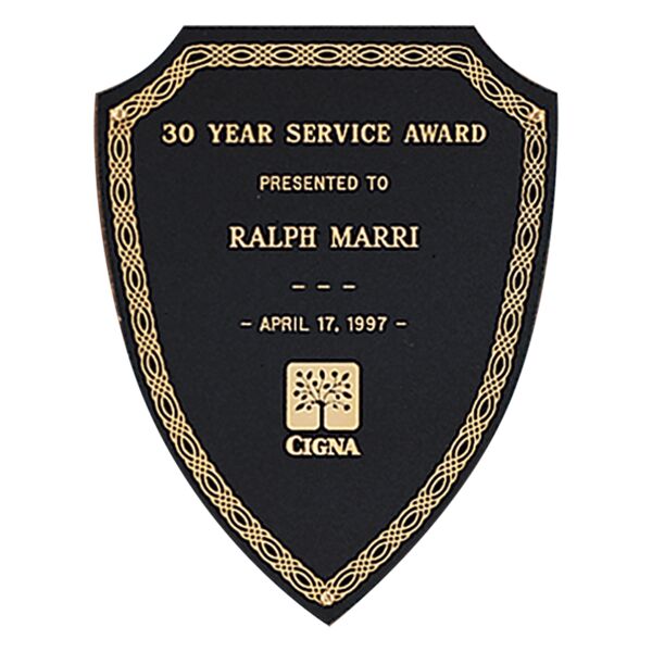 6" x 7 1/2" Laserable Brass Shield Plate with Design Border and Three Holes Thumbnail