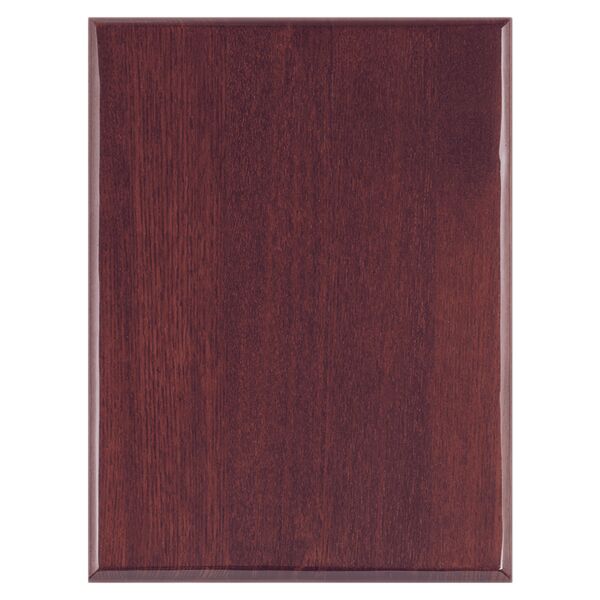 22" x 30" Airflyte Premium Piano Finish Plaque with Round Corners Thumbnail